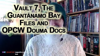 Introduction to ASMR Readings Of Wikileaks' Vault 7, Guantánamo Bay Files & OPCW Douma Docs [LINKS] screenshot 4