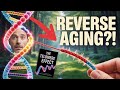 The Shocking Secret That Controls How Fast You Age—And How To Reverse It! Telomere effect 