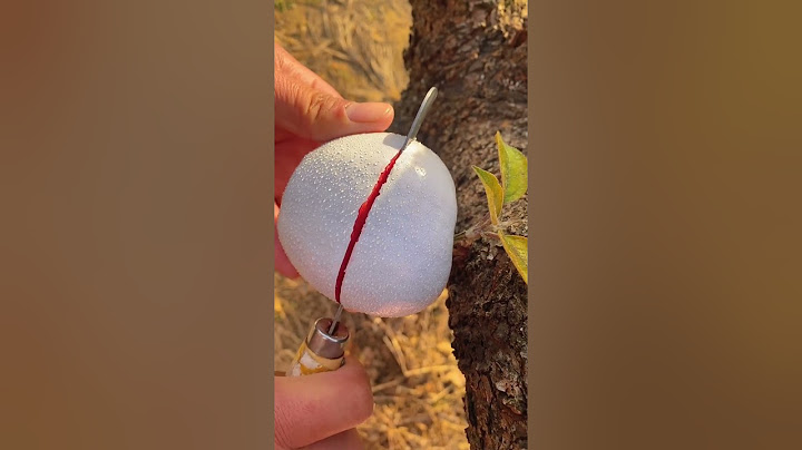 Have you ever eaten this white apple? Is it tasty?~❤~#fruit #fresh fruits #usa #asmr #shorts