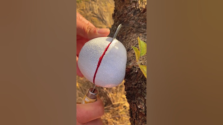 Have you ever eaten this white apple? Is it tasty?~❤~#fruit #fresh fruits #usa #asmr #shorts