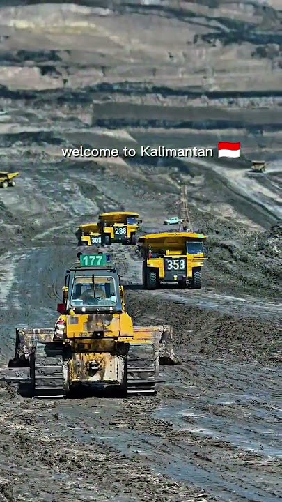 welcome to Kalimantan