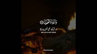 Surah An-Nur | Ayaah 19 . Qari Abdulaziz Zahrani