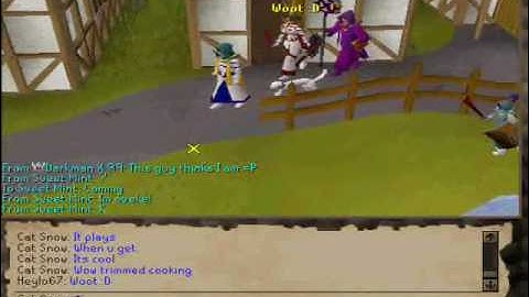 Me getting 99 fletching, on runescape