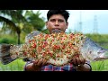 6.5Kg KALANCHI FISH FRY | കാളാഞ്ചി മീൻ മുളകിട്ട് ചുട്ടത് | Yummy Fish Fry With chillies