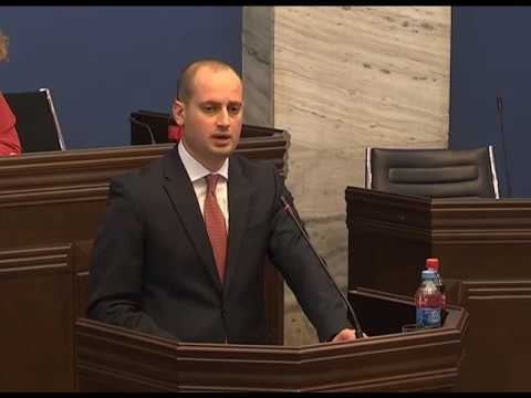 მიხეილ ჯანელიძის მოხსენება პარლამენტის გაერთიანებულ კომიტეტებზე - 02