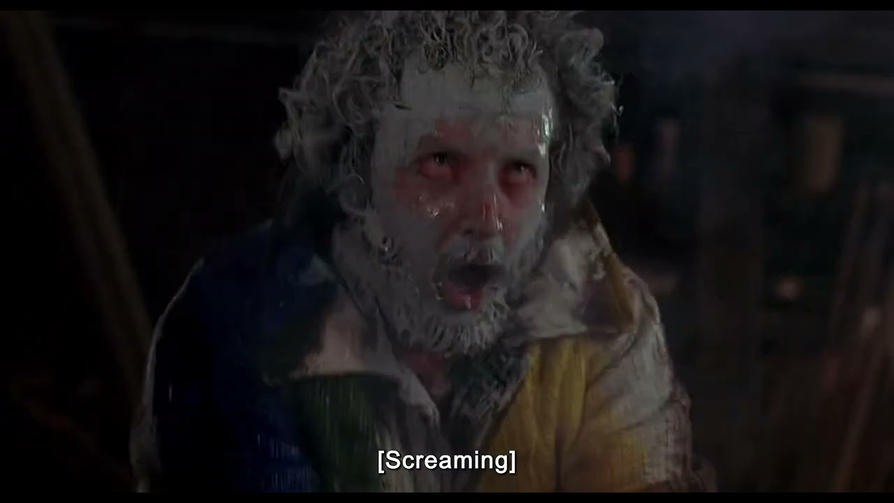 Home Alone 2 | When the Trap Sets His Head on Fire