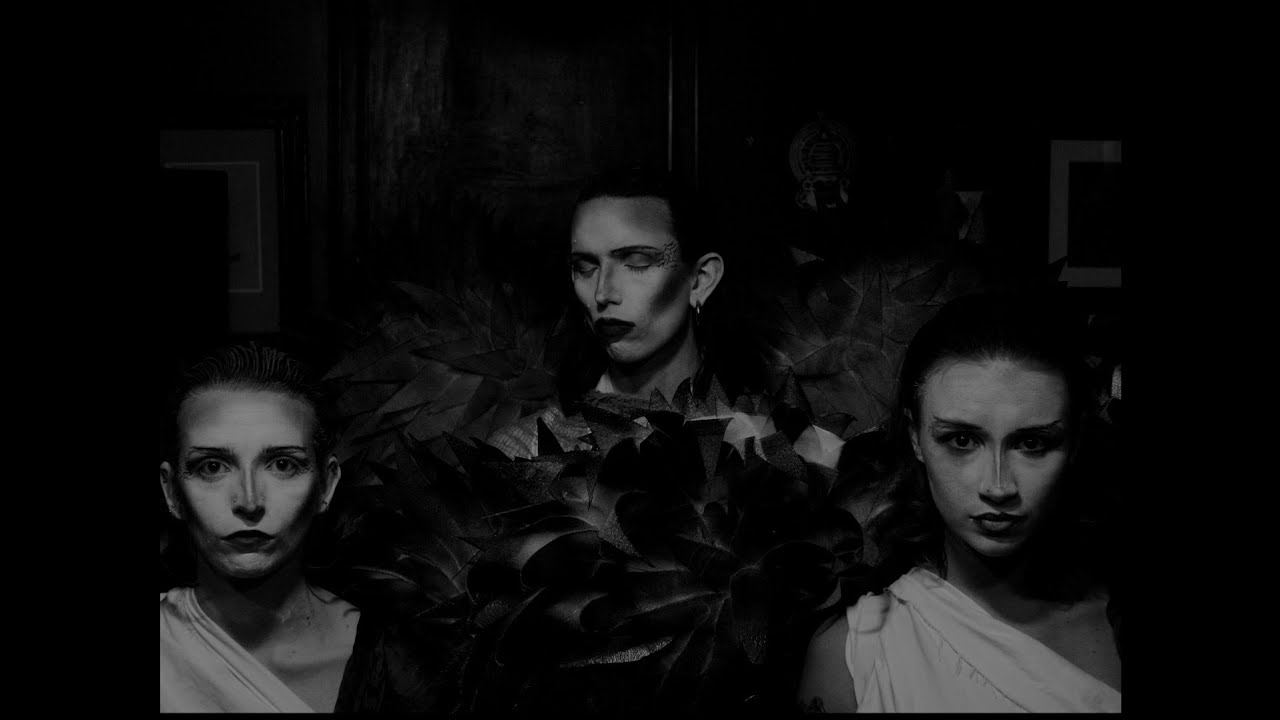 Cellar Dwellar - Alecto (Official Music Video)