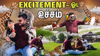 குரங்குக்கே Love Failure-ஆ😱| Dubai Series EP - 10 | Vj Siddhu Vlogs image