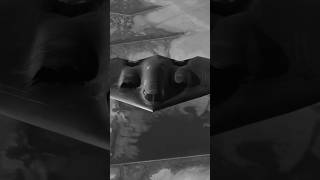 Download Lagu SPIRIT. #b2spirit MP3