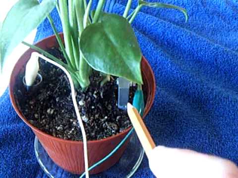 Video: How To Plant The Battery
