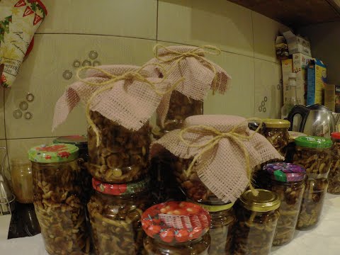 ЗАГОТОВКИ НА ЗИМУ/САМЫЕ ВКУСНЫЕ ОПЯТА/ТРИ МАРИНАДА ДЛЯ ОПЯТ/ПОЕЗДКА ЗА ОПЯТАМИ/ 20г#140