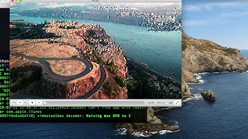 UDP Video Stream Demo