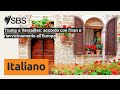 Trump a Versailles: accordo con l'Iran e riavvicinamento all'Europa | SBS Italian - SBS in Italiano