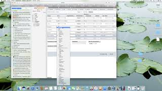 phpmyadmin crear tablas 2
