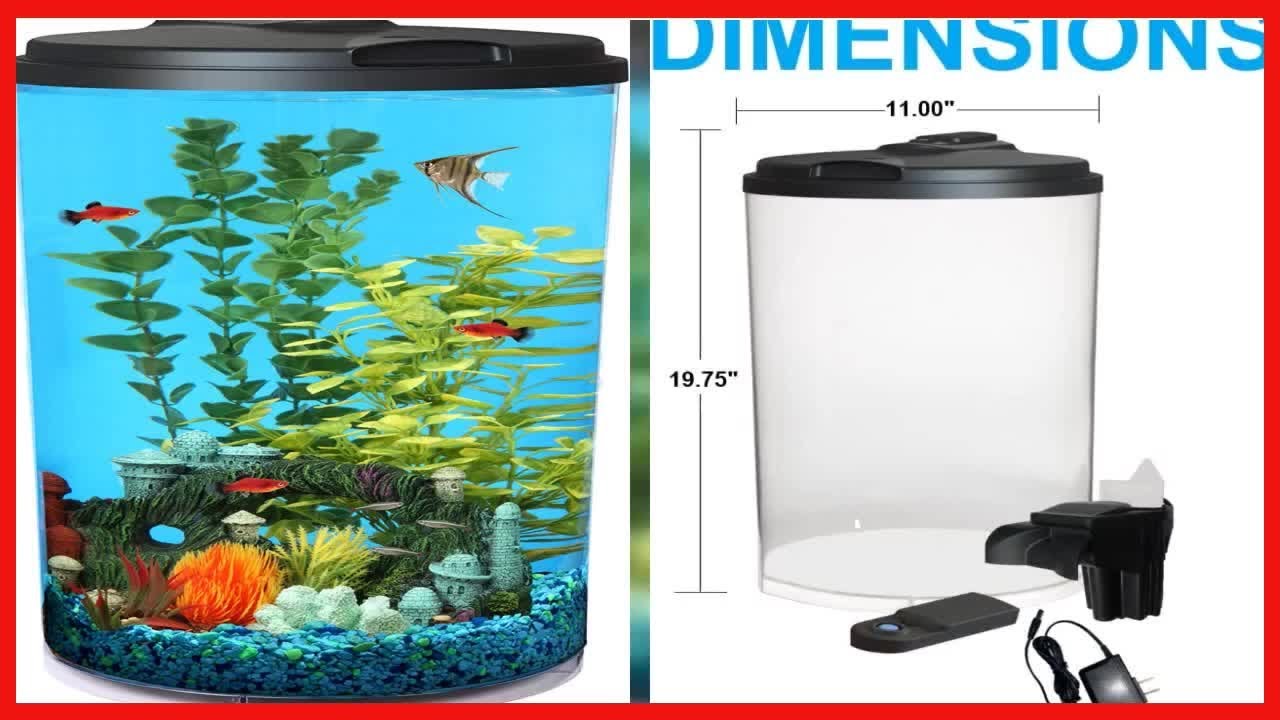 Koller Products 6-Gallon AquaView 360 Aquarium Kit with LED Lighting and  Power Filter Clear