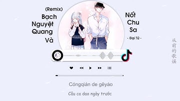 [Vietsub] Bạch Nguyệt Quang Và Nốt Chu Sa Remix - Đại Tử | 白月光与朱砂痣 remix - 大籽