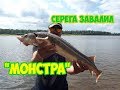 Такую стерлядь я еще не видел.. Ловля стерляди на донки.