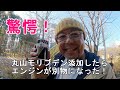 丸山モリブデン驚愕の効果