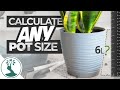 Easy Way To Calculate Your Flower Pots Volume - Measuring Your Flower Pot  Size in Litres & Gallons - YouTube