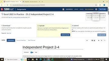 Excel 2021 In Practice | Chapter 2 Independent Project 2-4 | Step-by-Step Tutorial & Solution 2024