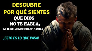 🚨DESCUBRE POR QUÉ SIENTES QUE DIOS NO TE HABLA, NI TE RESPONDE CUANDO ORAS. ¡ESTO ES LO QUE PASA! by Sagrario de Amor 6,523 views 4 months ago 14 minutes, 42 seconds