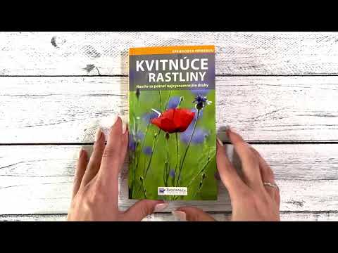 Video: Anglické bylinkové rastliny: Navrhovanie anglickej bylinkovej záhrady