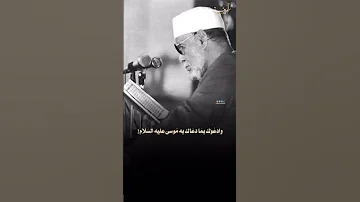 من عجيب أمر الرزق كلمات تريح القلب للشيخ الشعراوي رحمه الله 