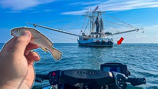 I Tossed a LIVE BAIT Behind this Shrimp Boat and INSTANTLY HOOKED UP to a Giant Fish!!