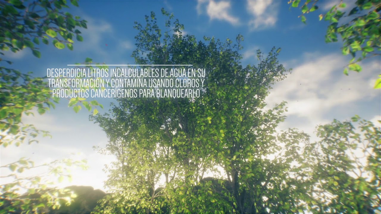 FCICWEB Eco-Responsable