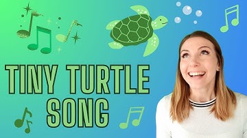 Tiny Turtle Tim | Educational Nursery Rhymes | I had a little turtle | Toddler & Baby learning video