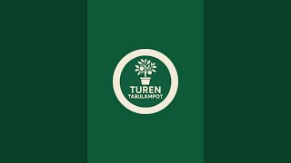 Perawatan burung anis kembang di siang hari