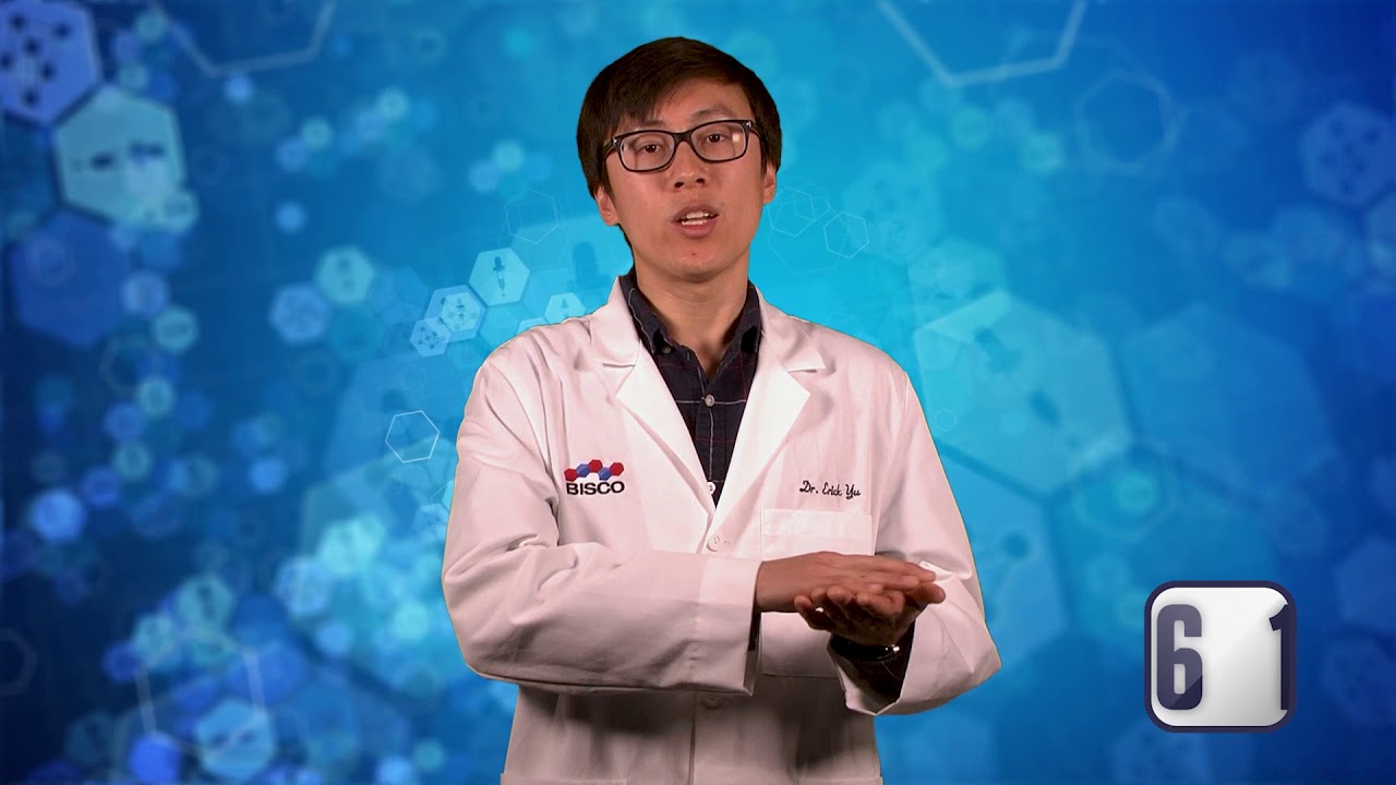 BISCO Bite Episode 16 | Coupling Agents