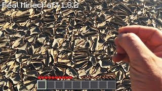Real Life Minecraft - BEST SOUND EVER