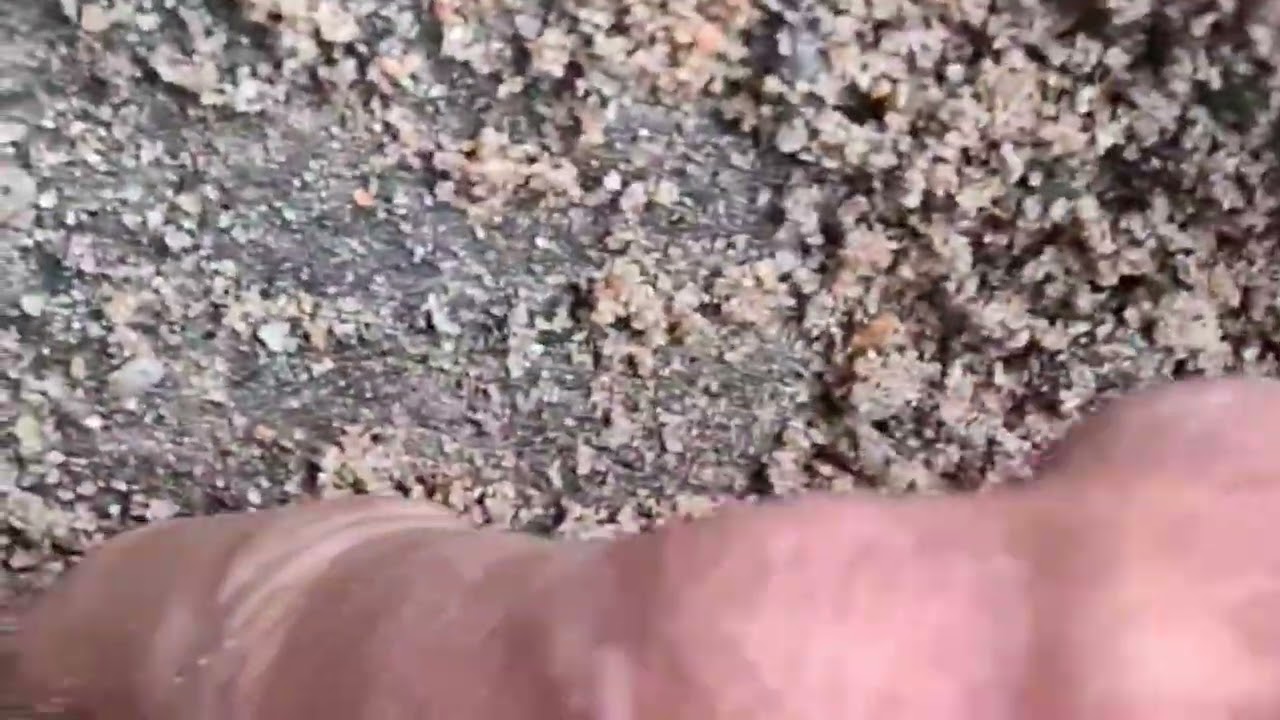 Exploring a Lost Gold Rush!