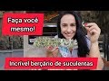 O melhor BERÇÁRIO para reproduzir SUCULENTAS!