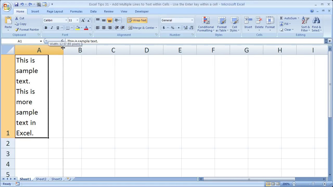 Excel Tips 8 - Add Multiple Lines to Text within Cells - Use the Enter key  within a cell