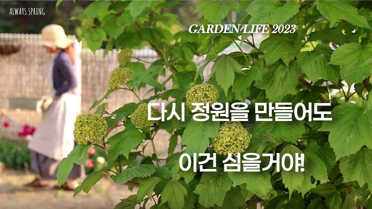 정원을 시작하시는 분들에게 추천하고픈 꽃과 나무 (노지월동야생화 1편) 다시 정원을 만들어도 이건 심을거야!