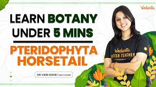 Learn Botany In 5 Mins Pteridophyta Horsetail Neet 202324 Vani Maam Vedantu Biotonic