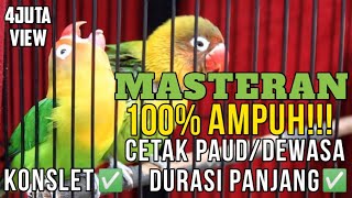 🔴BANYAK DICARI‼️ MASTERAN 100% AMPUH CETAK LOVEBIRD PAUD/DEWASA KONSLET ✅ DURASI PANJANG ✅