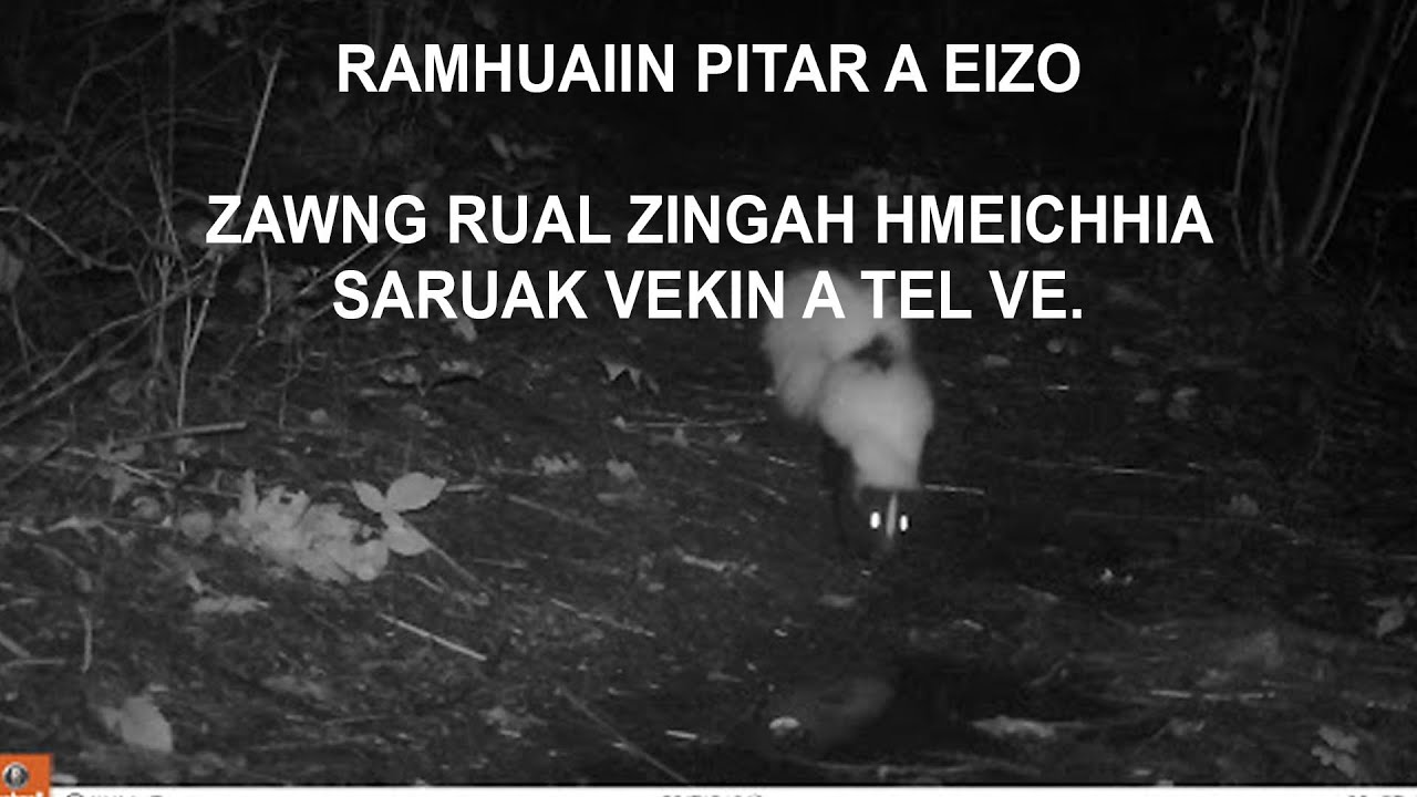 Pu Thanghrima ramriak thiltawn mak| Mizo thlahrang