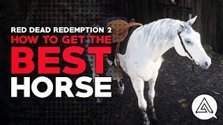 Arabian in Red Redemption 2 | Shacknews