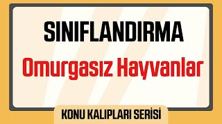 Canlıların Sınıflandırılması Omurgasız Hayvanlar