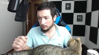 SOHBET MUHABBET SORU CEVAP