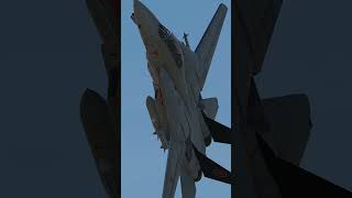 DCS Brasil experience | Introdutório ao canal   #dcsbrasil #shorts  #dcsworldgameplay #aprender #dcs