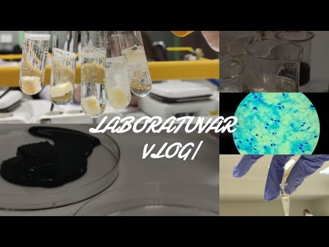 VLOG| Laboratuvarda birkaç deney| Biyokimya|Mikrobiyoloji