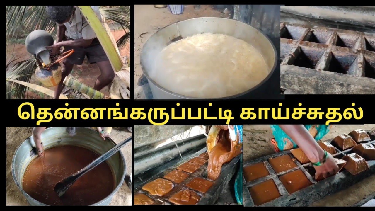 தென்னை கருப்பட்டி செய்முறை | Coconut Jaggery Making