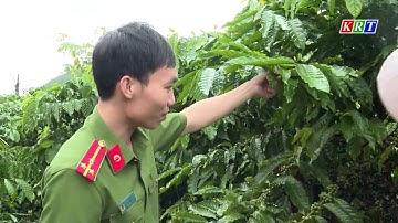 Nâng cao chất lượng, hiệu quả công tác thi hành án hình sự và công tác tái hòa nhập cộng đồng