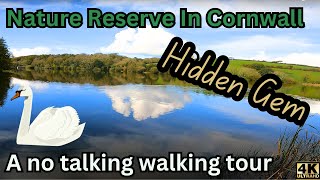 See this peaceful nature reserve in Cornwall | Walking Tour