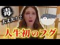 【大パニック】フランス人が日本の高級魚フグを初めて食べた結果…