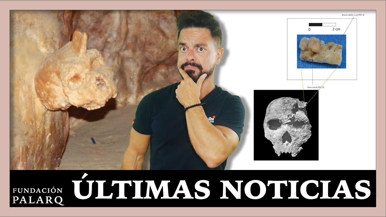 Este cráneo tiene 286.000 años… y no pertenece a ninguna especie conocida  | Noticias Arqueología